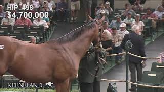 Hip 498 sells for 82 million at 2019 Keeneland September [upl. by Lletnahs]