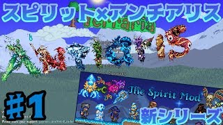 【テラリア】新シリーズで大暴れ！いきなりボスにボコられる！ 【Spilit×Antiaris】♯１ [upl. by Schenck]