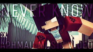 Discrete  Never Know feat Maria Mathea  Aphmau Music Video  When Angels Fall  Season 6 [upl. by Valsimot]