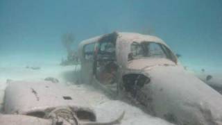 Stuart Coves Snorkel Bahamas [upl. by Mcbride]