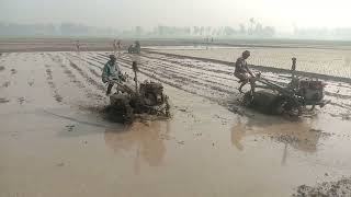 Power tiller rotavator village field power tiller ploughing paddy land [upl. by Dirrej]