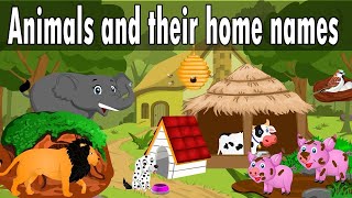 Animals and their homes l Animal homes l Home of animals l Animal homes l Animals shelter for kids [upl. by Adekan611]