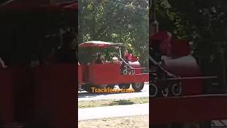 MARON AND WHITE TRACKLESS TRAIN IN HIGH PARK [upl. by Pryor746]