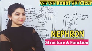 Nephron  Structure amp Function  Life Process  Easy Explanation  Biology Class 10th [upl. by Atiuqer]