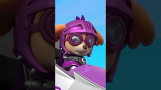 Claw and Sparks try to ruin the Rescue Knights Tournament  Shorts PAWPatrol [upl. by Sig]