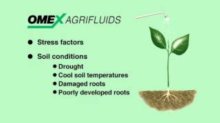 Why use Foliar Fertilizers [upl. by Loriner]