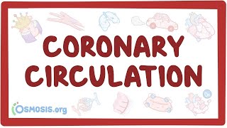 Coronary circulation  an Osmosis Preview [upl. by Derraj]