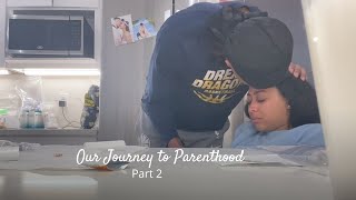 Our Journey to Parenthood amp Starting IVF  PART 2  Sydel CurryLee [upl. by Fogel]