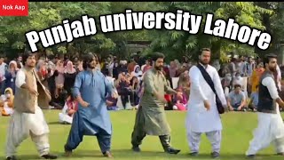 Balochi dance by Baloch council punjab university Lahore [upl. by Enylrac]