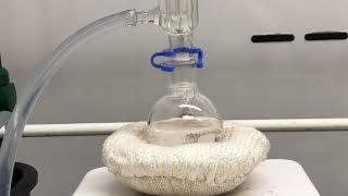 Synthesis of Isoamyl acetate [upl. by Ethelinda]