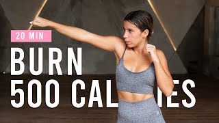 BURN 500 CALORIES with this 20 Minute Cardio Workout  HIIT Workout At Home [upl. by Eirffej]