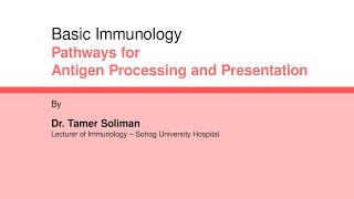 Dr Tamer Soliman  Basic Immunology  Pathways for Antigen Processing and Presentation [upl. by Aniara790]