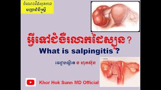 អ្វីទៅជំងឺរលាកដៃស្បូនWhat is salpingitis l Khor Hok Sunn MD Official [upl. by Lula772]