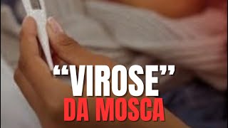 VIROSE DA MOSCA NÃO É SÓ UMA VIROSE É MAIS QUE ISSO [upl. by Krenek]