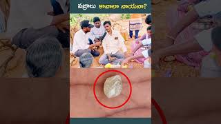 వజ్రాల గని diamond trending shorts viralvideo [upl. by Akirdnuhs]