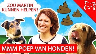 Zo voorkom je dat je hond poep eet FIKKIE FAMOUS met EVELIEN DE BRUIJN [upl. by Allred]