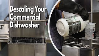 How to Delime and Descale Commercial Dishwasher Machine Active Element Maintenance Series [upl. by Yrennalf]