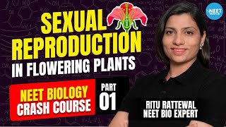 Sexual Reproduction in Flowering Plants  NEET Crash Course 2024  Demo 1  Biology  Ritu Rattewal [upl. by Tarazi17]