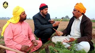 Desi interview Dhillon and resham New video Mandeep Dhillon Dhillon Bathinde Aala [upl. by Woolson]