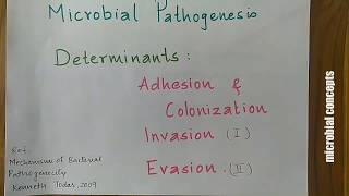 Pathogenic determinants Adhesion Colonization amp Invasion 1  Mechanisms of bacterial pathogenicity [upl. by Bobbette]