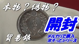 【貿易銀】 本物？偽物？ ポチっとシリーズ。 [upl. by Roch80]