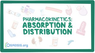 Pharmacokinetics Drug absorption and distribution [upl. by Tellford]