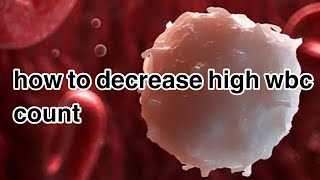 how to decrease high wbc count  how to decrease high white blood cells [upl. by Ladew]