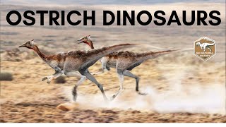 OSTRICH DINOSAURS [upl. by Attolrac945]