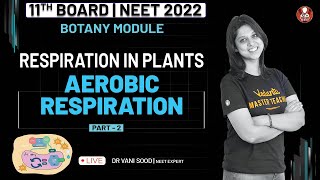 Respiration in Plants 02  Aerobic Fermentation  Class 11  NEET 2022  Vedantu Biotonic [upl. by Howlyn]