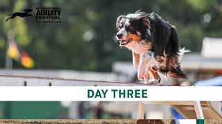 The Kennel Club International Agility Festival 2024 Day 3 Main Ring [upl. by Ahsital736]