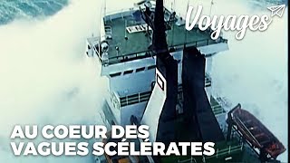 Au coeur des tempêtes  Documentaire [upl. by Jerusalem615]