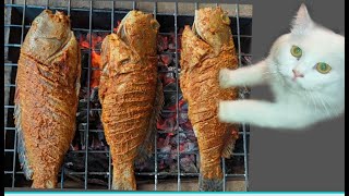 Grilled Hamour fish  Special Fish Grill Recipe  Homebaking CLT [upl. by Ettenahs]