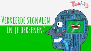 VERKEERDE SIGNALEN – TOPDOKS ANIMATIE [upl. by Arrakat698]