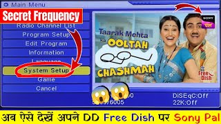 Sony Pal DD Free Dish Par Kaise Laye 2024  DD Free Dish New Update Today  Sony Pal  Free Dish [upl. by Euqinmod]