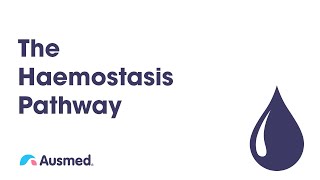 The Haemostasis Pathway  Ausmed Explains [upl. by Wenn]