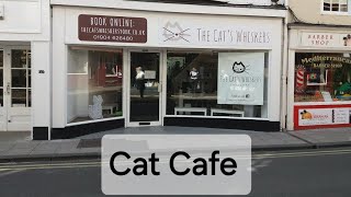 Visit To The Cats Whiskers Cat Cafe York North Yorkshire Uk [upl. by Sherrie]