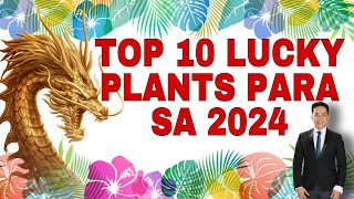 TOP 10 LUCKY PLANTS PARA SA 2024 YEAR OF THE WOOD DRAGON [upl. by Lacombe]