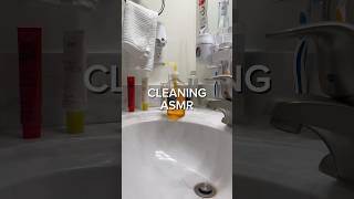 Bathroom cleaning ASMR with this power scrubber cleaninghacks cleaningasmr homegadgets [upl. by Borg]