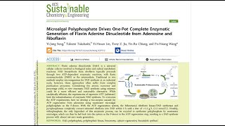 Microalgal Polyphosphate Drives OnePot Complete Enzymatic Generation of Flavin Adenine Dinucleotide [upl. by Neelcaj]