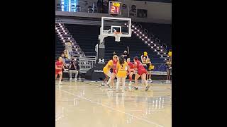 Fresno State vs UC San Diego Womens basketball Big West Mountain West November 2024 [upl. by Monreal]