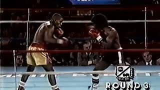 Pernell Whitaker vs Danny Avery  HIGHLIGHTS [upl. by Allimrac]