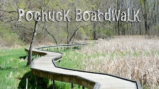 Unboring Exploring MINI Pochuck Boardwalk Appalachian Trail NJ [upl. by Selmner]