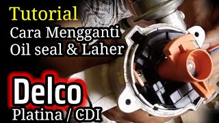 Tutorial cara mengganti Oil Seal dan Laher Delco zebra Espass [upl. by Yemrej]