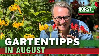 3 wichtige Gartenarbeiten im August I Horst sein Schrebergarten [upl. by Akcimehs]