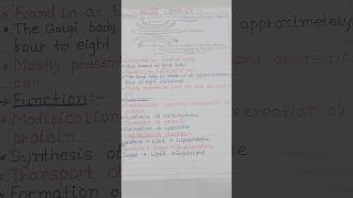 Golgi Apparatus Diagram  Golgi Apparatus Structure And Function [upl. by Singh]