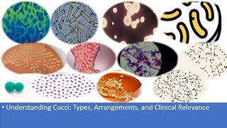 Notes StainingquotIntroduction Preparation of SmearGram Stainingquot Part1MicrobiologyBscGnm [upl. by Enogitna]