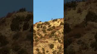 Whiteface ridge above Simi Valley Dog Park [upl. by Anoif154]