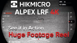 Exclusive First HikMicro Alpek 4K LRF Day and Night Vision Footage Reel [upl. by Kelson]