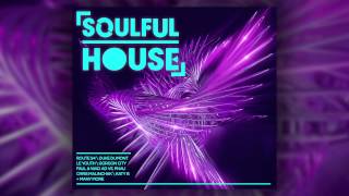 Soulful House The Album  Out Now  Mini DJ Mix Official [upl. by Yregram395]