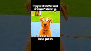 स्केटिंग का बादशाह 😎😱  short anime movie cartoon [upl. by Lered998]